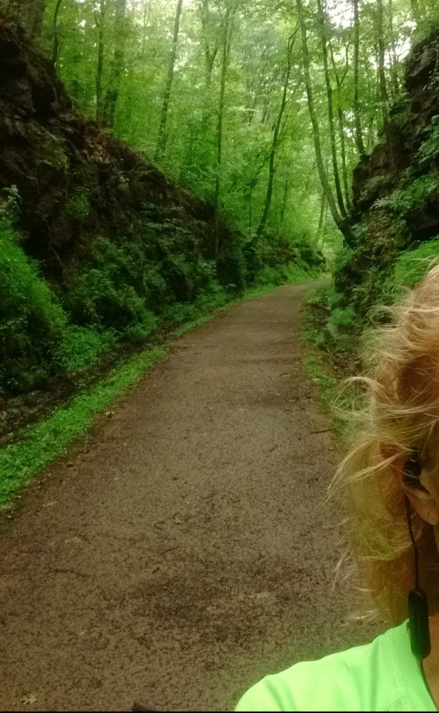 IMG_20180723_093124422